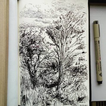 Inktober - Trail ink drawing by Darren Kearney (@darrencearnaigh). Show's a trail along a waters edge treeline into a forest. Done during the 1GAM Galway Jam